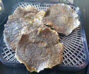 happy healthy living tortillas