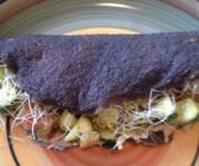 raw healthy eating tortilla wrap